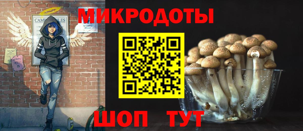 Бердск  Галлюциногенные грибы Psilocybe  Вход с VPN 